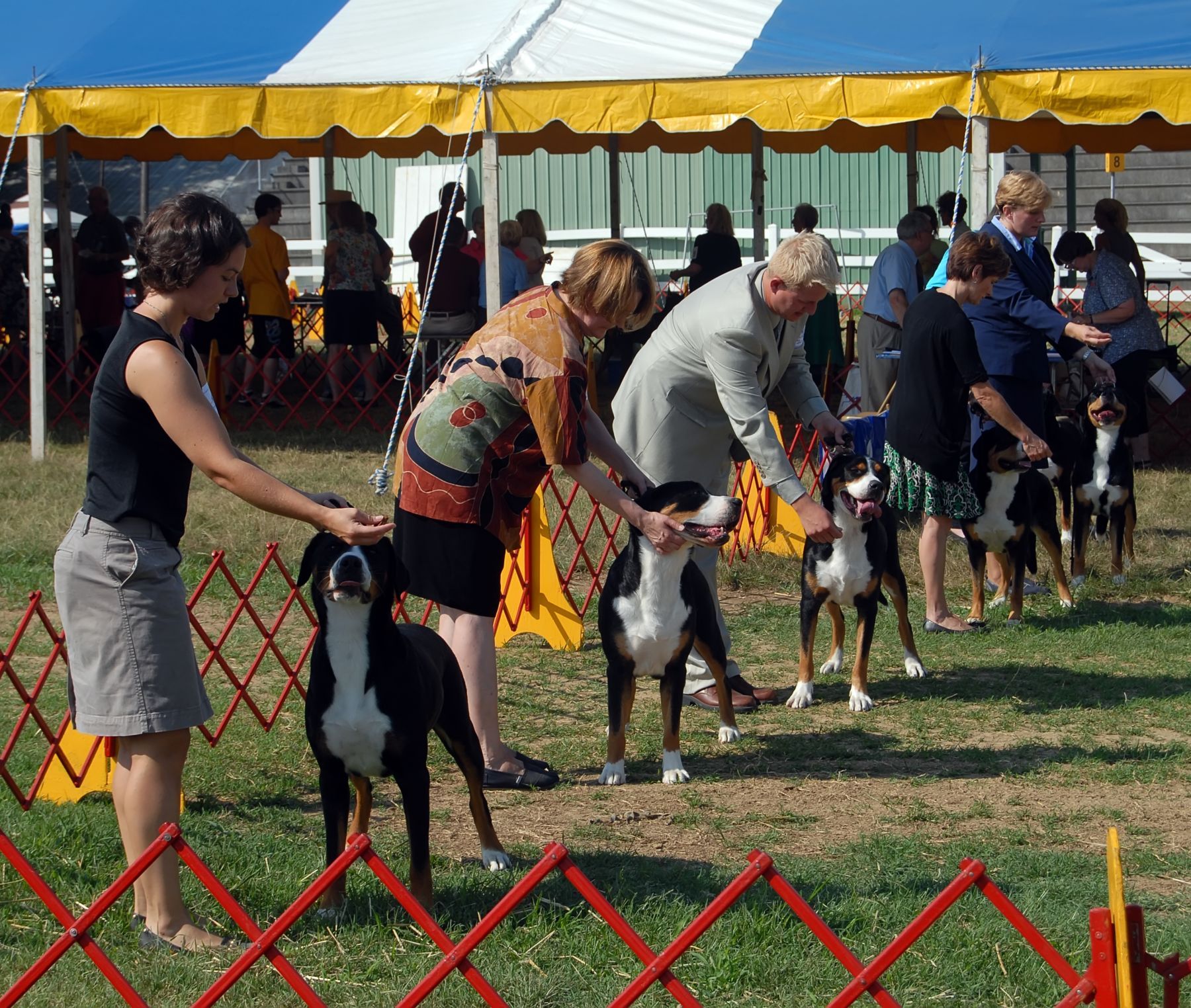 Preparing For the “New Normal”